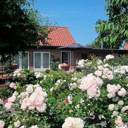 Apartament "Rosenkate 1" Riepsdorf Zewnętrze zdjęcie